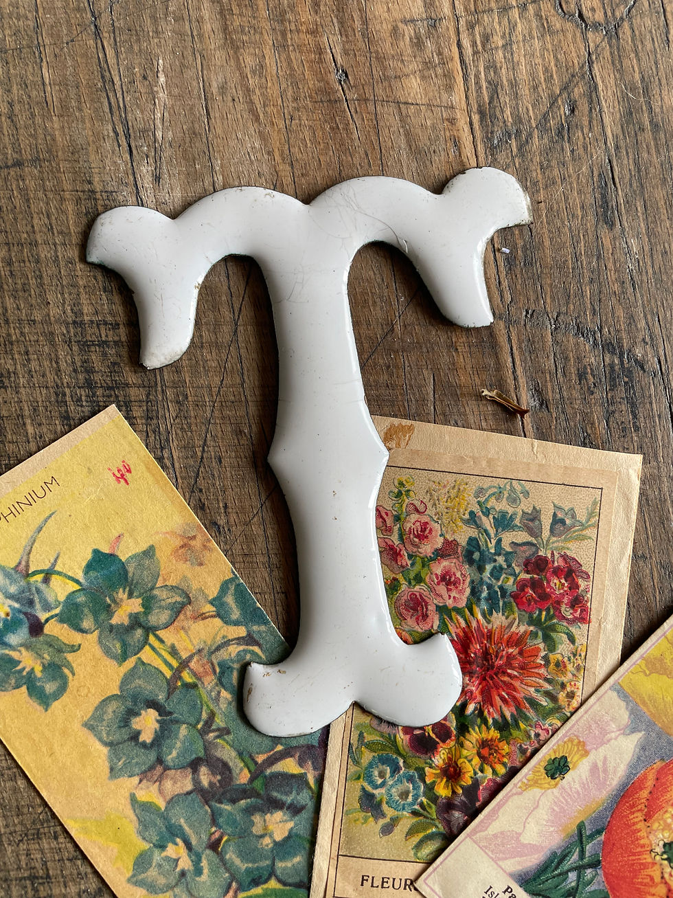 Miniature : Ancienne lettres émaillées…