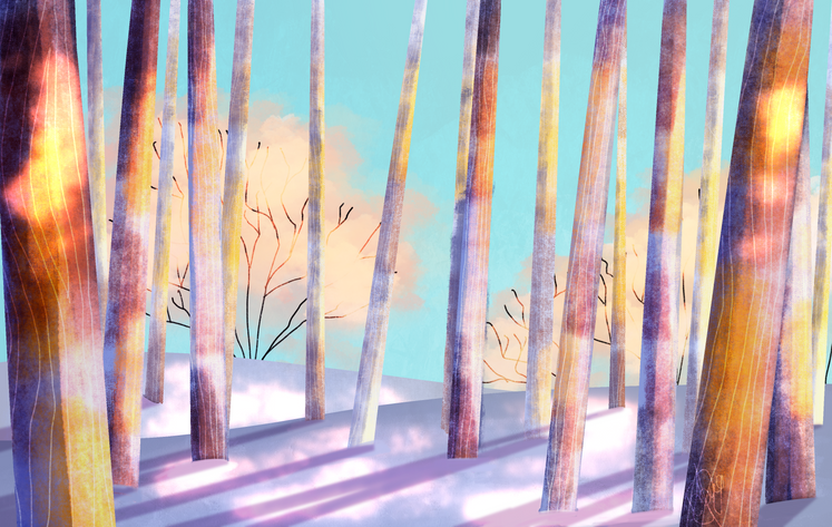 IMG_5791.PNG