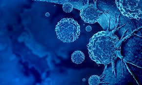 What We Learned from Talking to Clinicians About Early Liver Cancer Detection