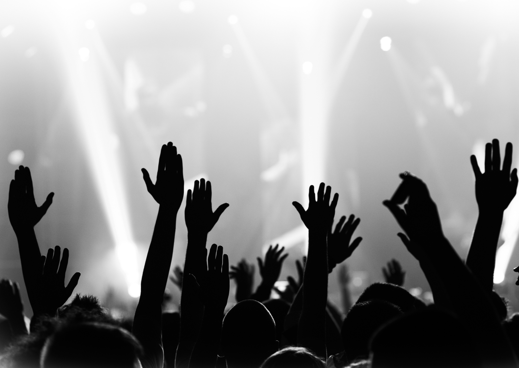 Spotify Playlist Followers (100)