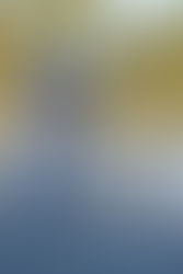 Sunshine Coast Ironman 70.3 - You Win Some, You Lose Some