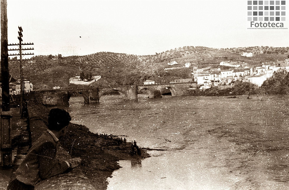 Crecida del Guadalquviir en Montoro
