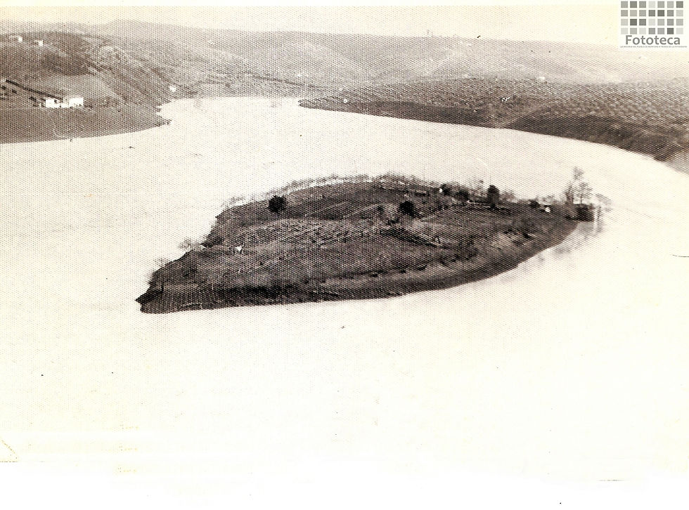 Huerta la Isla 1963