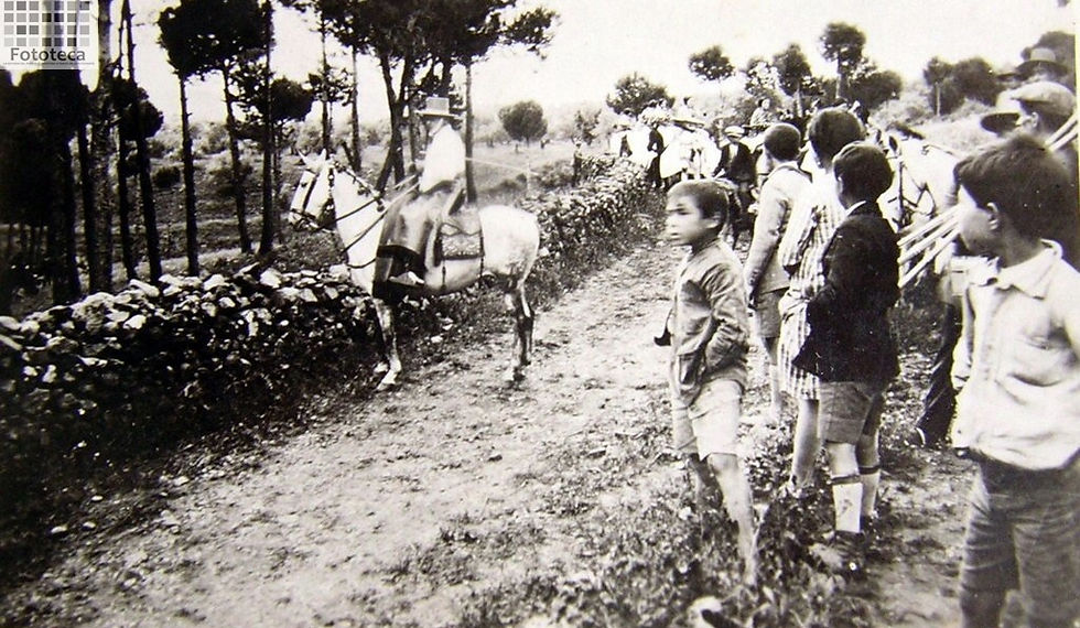 Yegua Antonio Cañero en la romería