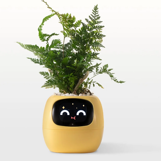 Bonsai | Adon Home Decor