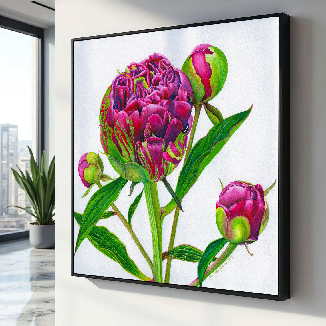 Peony Buds