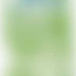 PROGRAMA ECO-ESCOLAS 2021|2022 Auditoria Ambiental