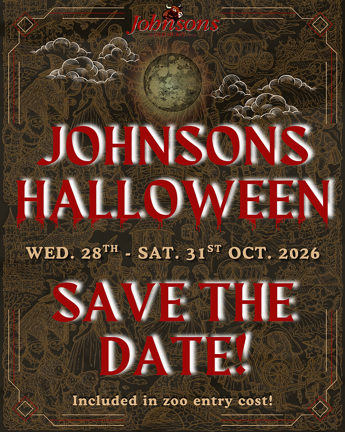 johnsons halloween.png