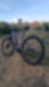 IMG-20230913-WA0035.jpeg