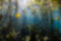 1J5A8086.JPG