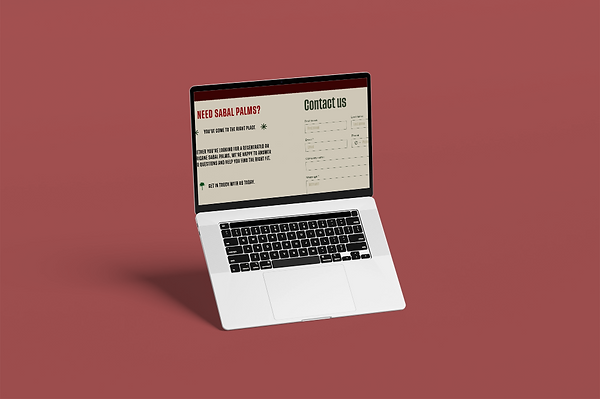 Laptop Mockups.png