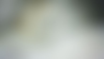 ПРИЗНАНИЕ ЗА ОБИЧ