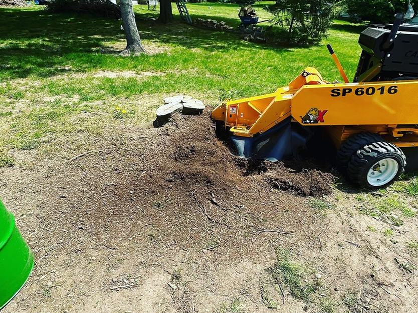Blades Property Maintenance
Brighton • Pittsford • Penfield • Fairport • Webster • Victor • Irondequoit • East Irondequoit
and nearby Wayne County communities including:
Ontario • Macedon • Walworth