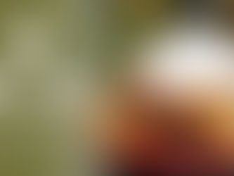 First Look at Tiana’s Bayou Adventure Treats