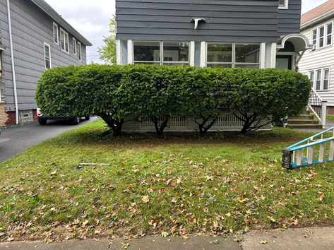 Blades Property Maintenance

Brighton • Pittsford • Penfield • Fairport • Webster • Victor • Irondequoit • East Irondequoit

and nearby Wayne County communities including:

Ontario • Macedon • Walworth