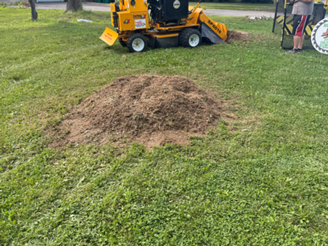Blades Property Maintenance

Brighton • Pittsford • Penfield • Fairport • Webster • Victor • Irondequoit • East Irondequoit

and nearby Wayne County communities including:

Ontario • Macedon • Walworth