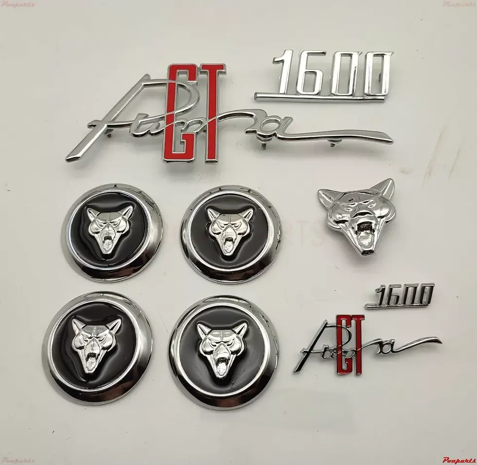 Miniaturbild: SET EMBLEMS BRAZILIAN PUMA GT 1600 + CENTER CAPS