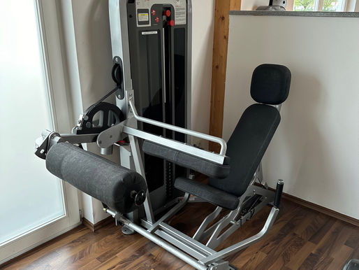 Hamtractor Flex Row uvm. neu in deinem WEFIT Fitnessstudio memmingen