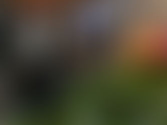 NEUES EQUIPMENT IN DEINEM WEFIT FITNESSSTUDIO MEMMINGEN