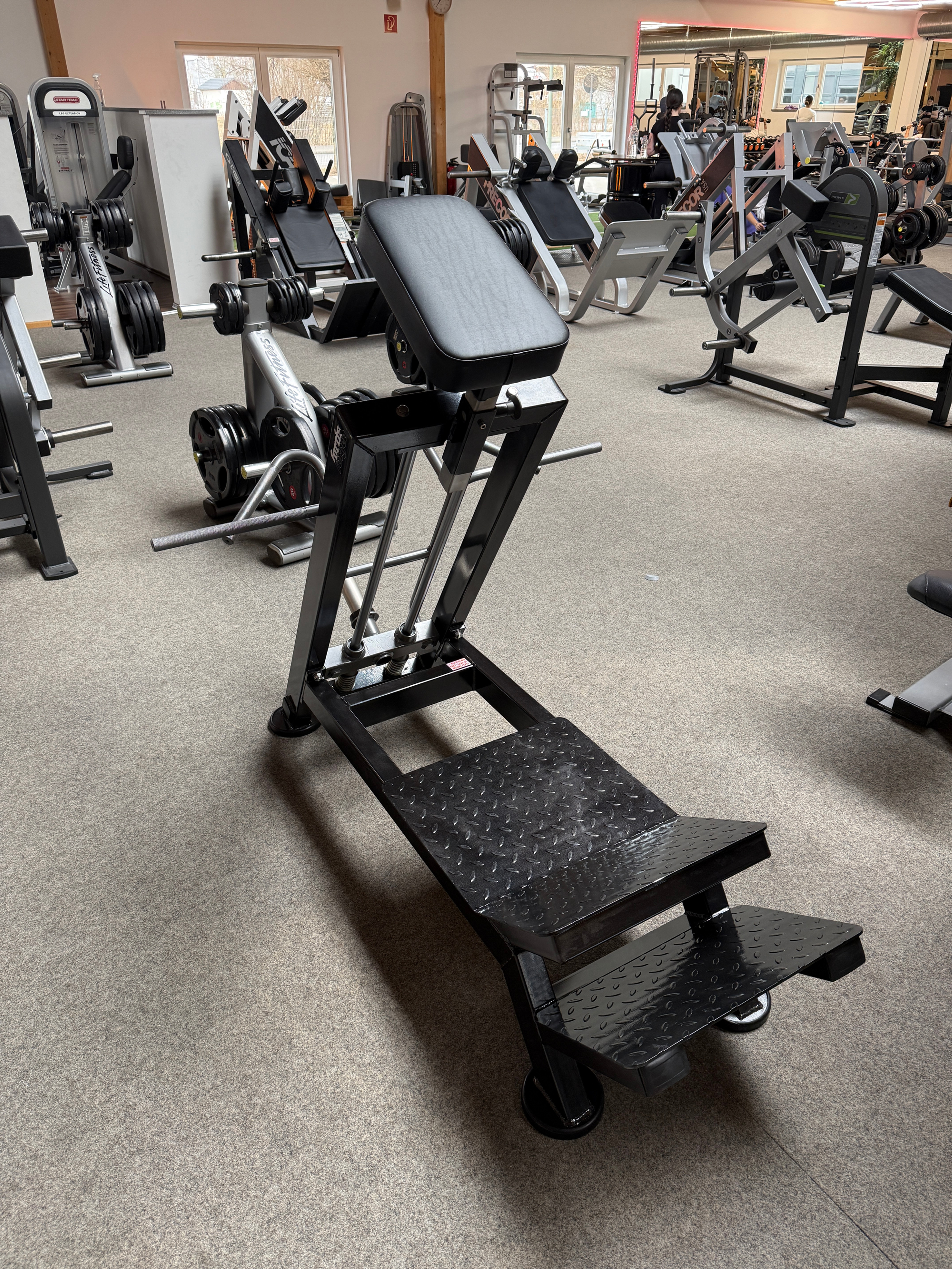 Linear T-Bar Row Icona-Line