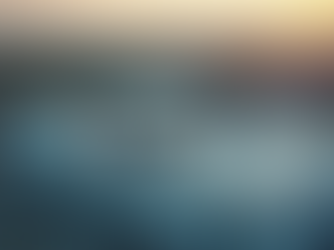 Comprehensive Property Inspections with Property Inspection Services