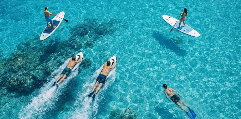 Intermare 55 Fly luxury yacht for private day charters from Portisco cruising Costa Smeralda, La Maddalena Archipelago and Tavolara with dolphin watching experience