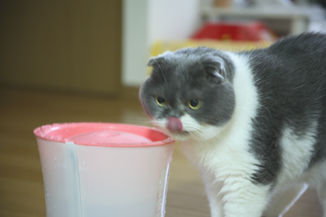 オリンピックの寝不足、熱中症対策