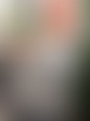 今話題殺到の２４７０入荷しました