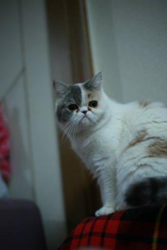 年内は１２/３０まで！！