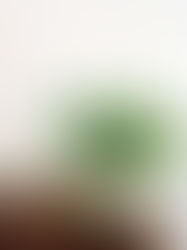 Tree.の年末の予定