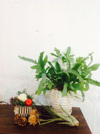 Tree.の年末の予定