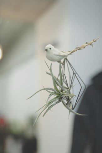 あけましておめでとうございます！