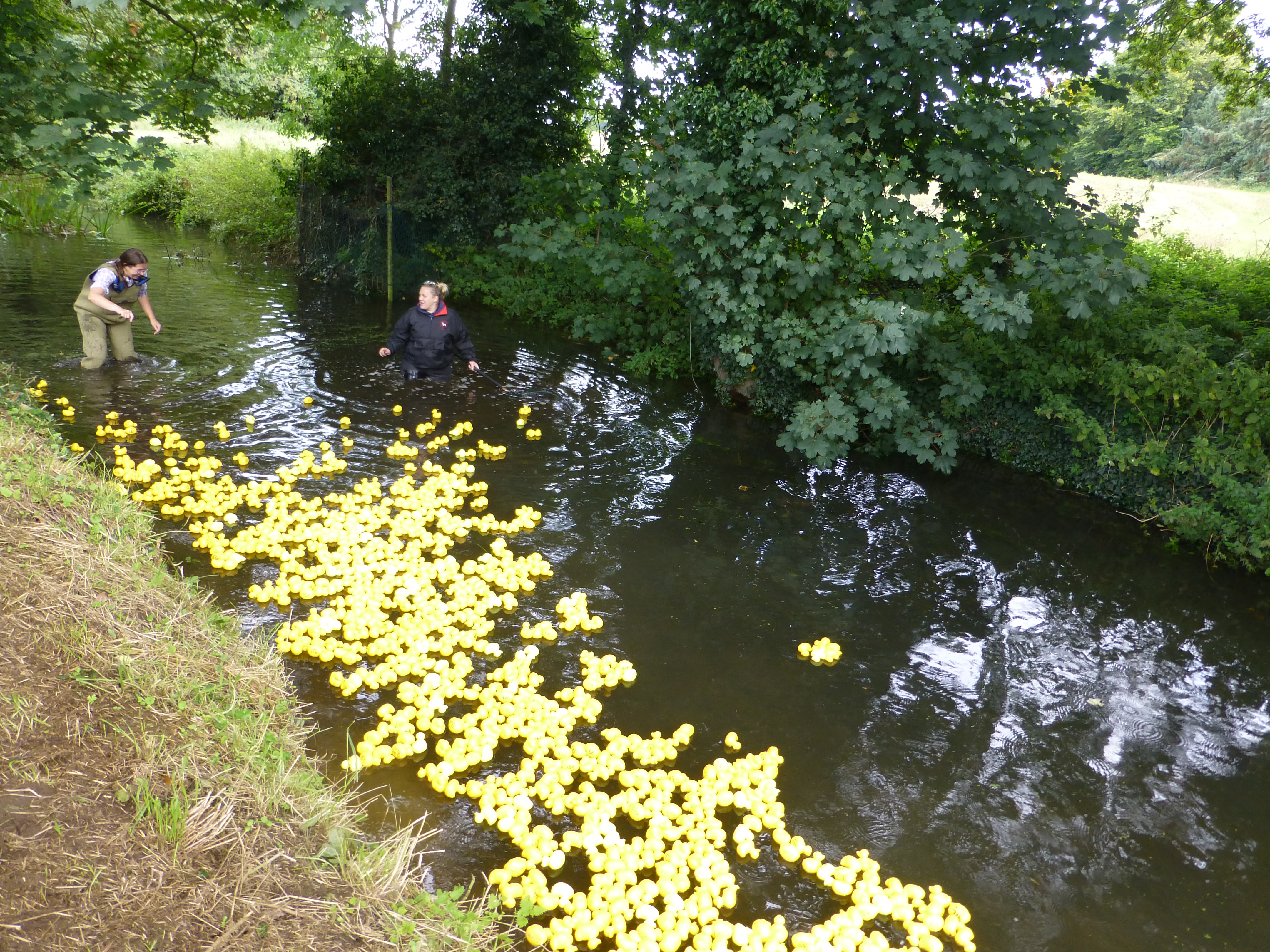 2017 Sutton duck race