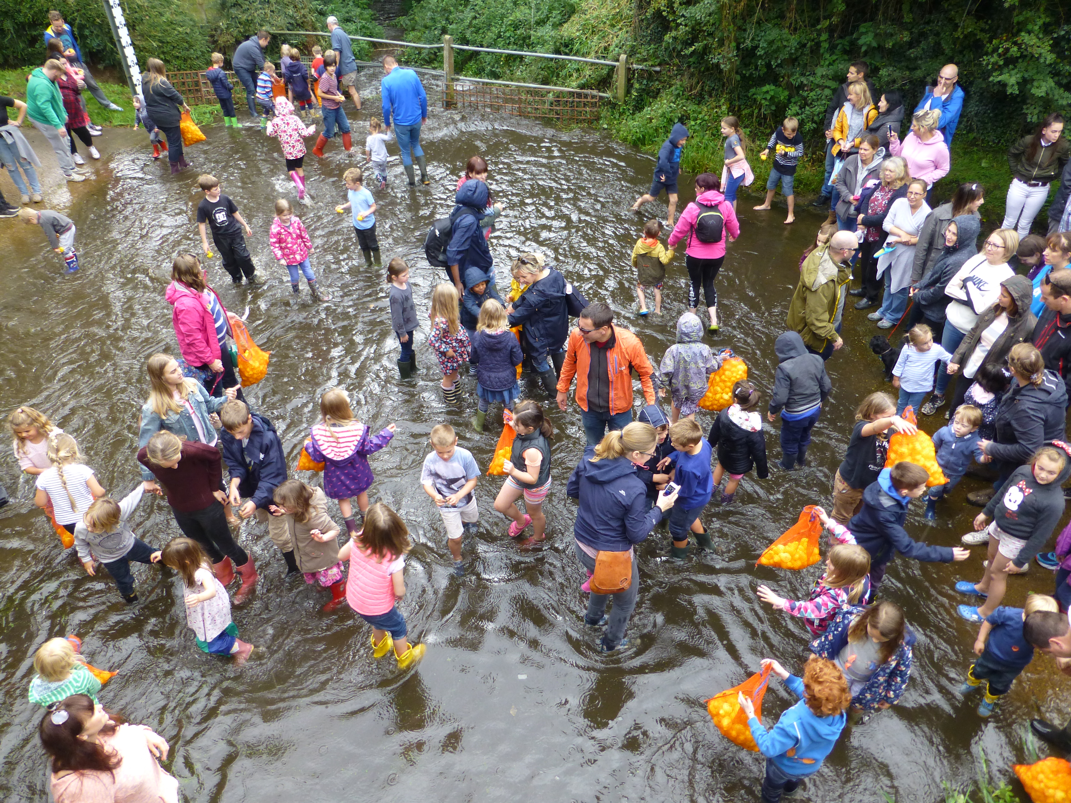 2017 Sutton duck race