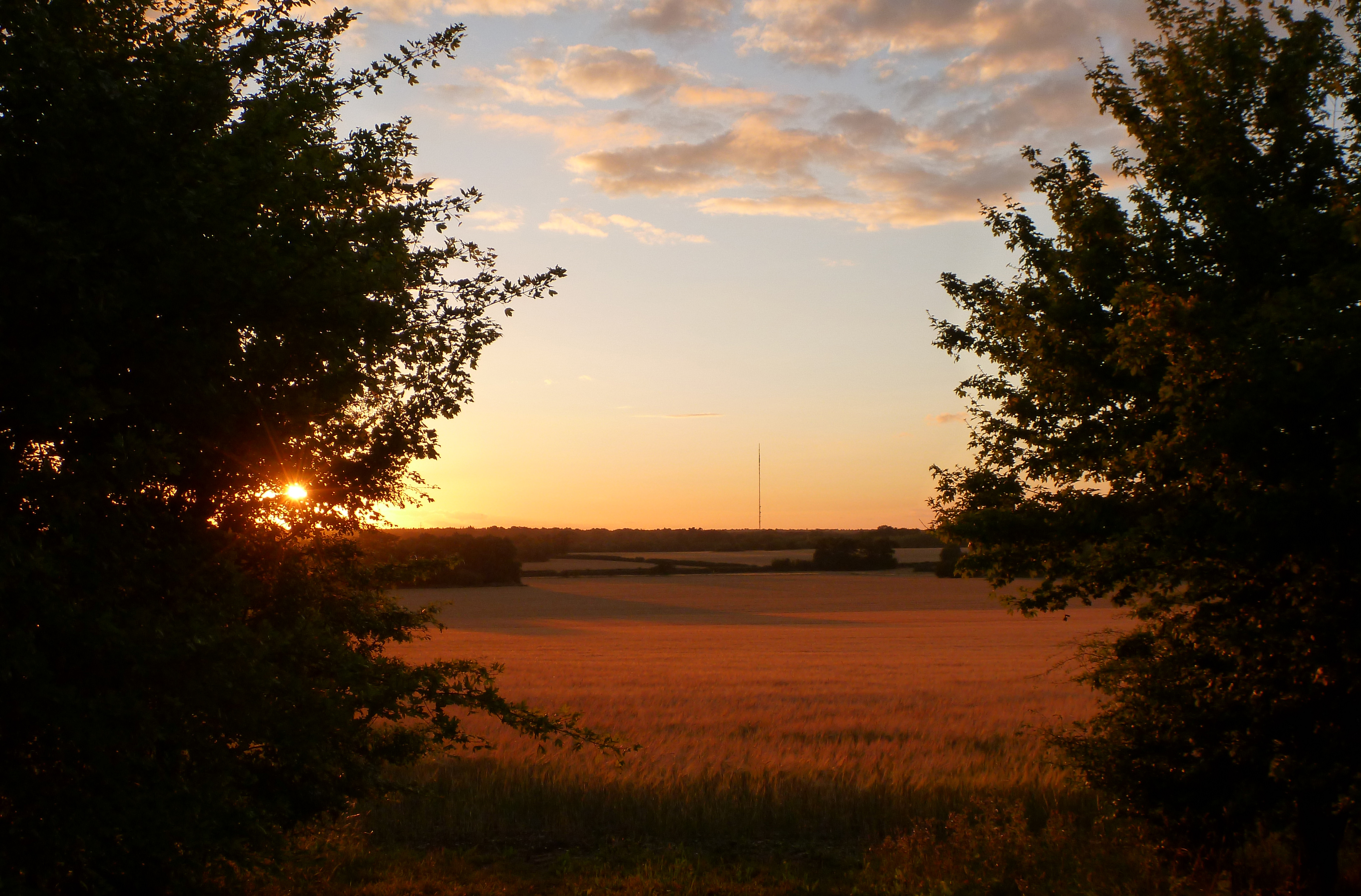 2017 Sunset, Sutton