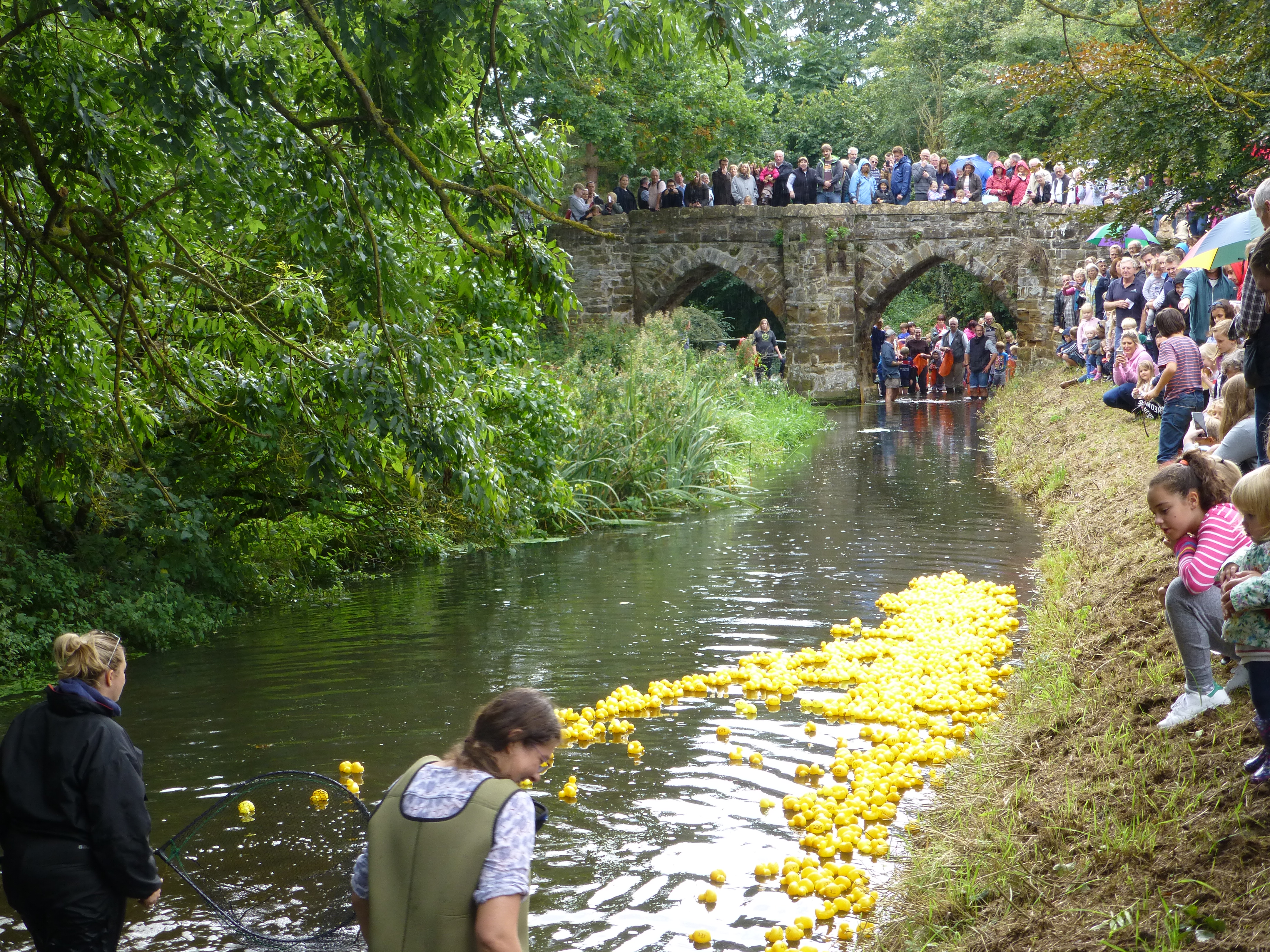 2017 Sutton duck race