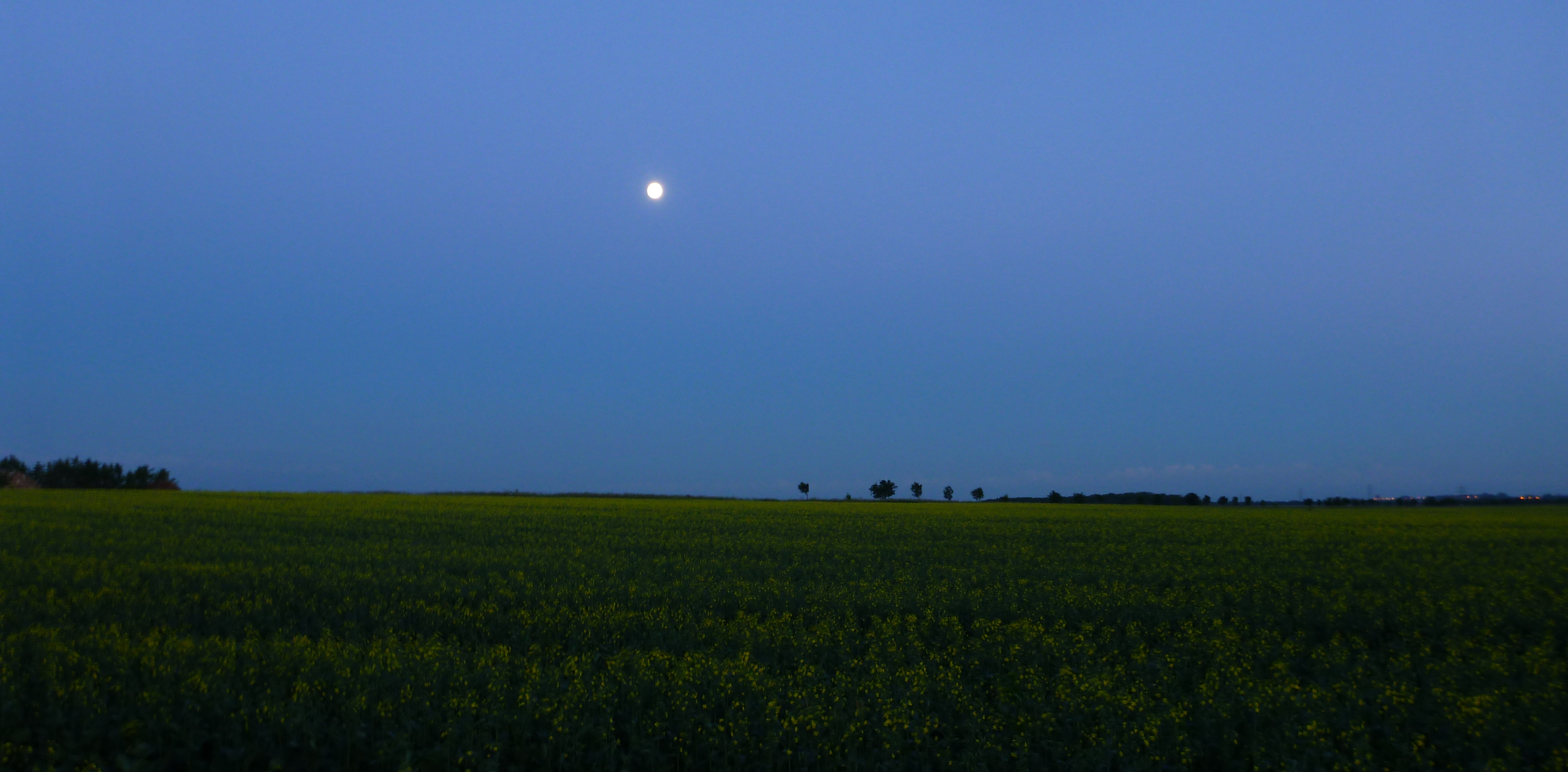 2017 Full moon above Sutton