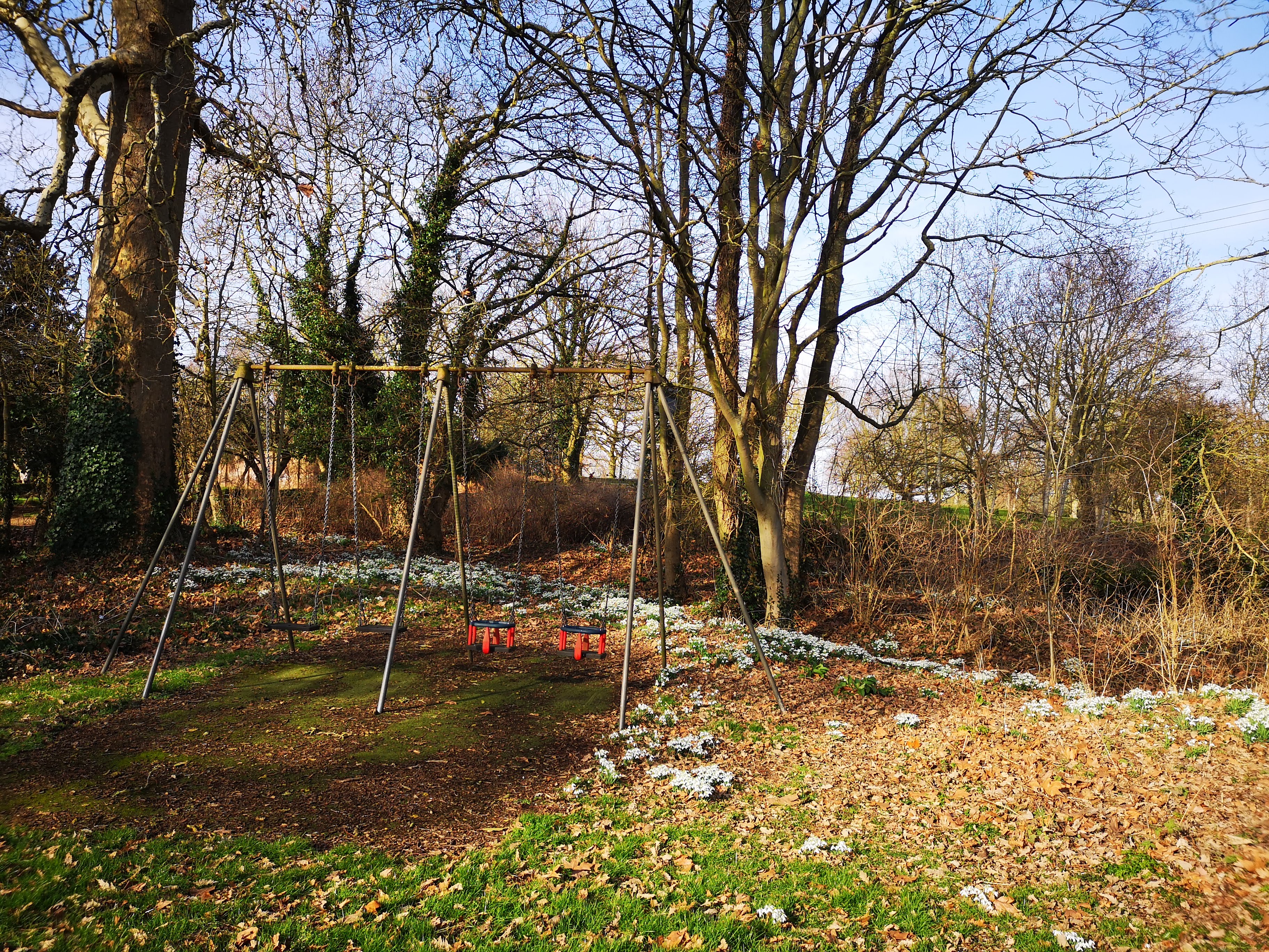 February 2019 Church field