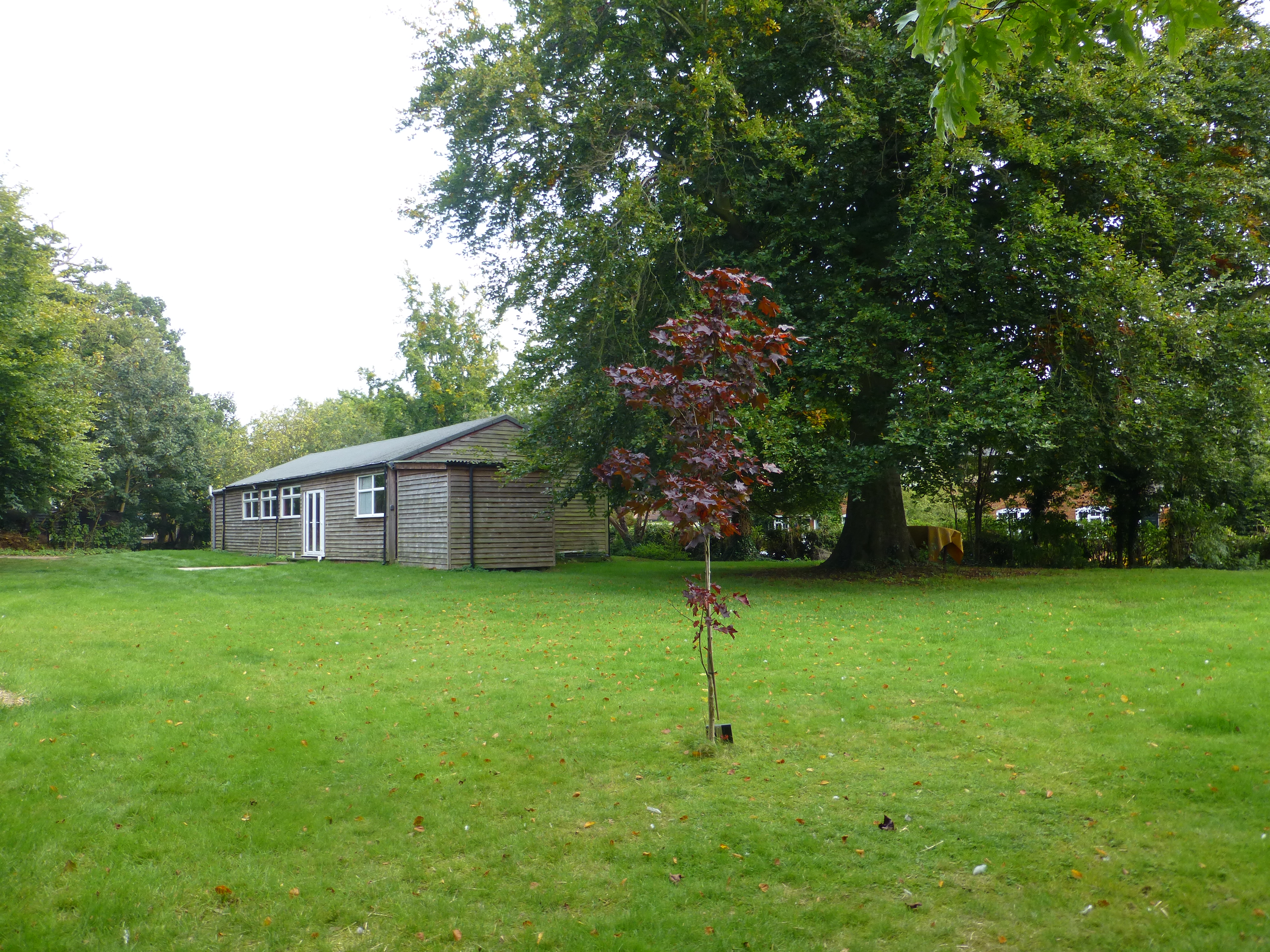 Sutton Village Hall garden