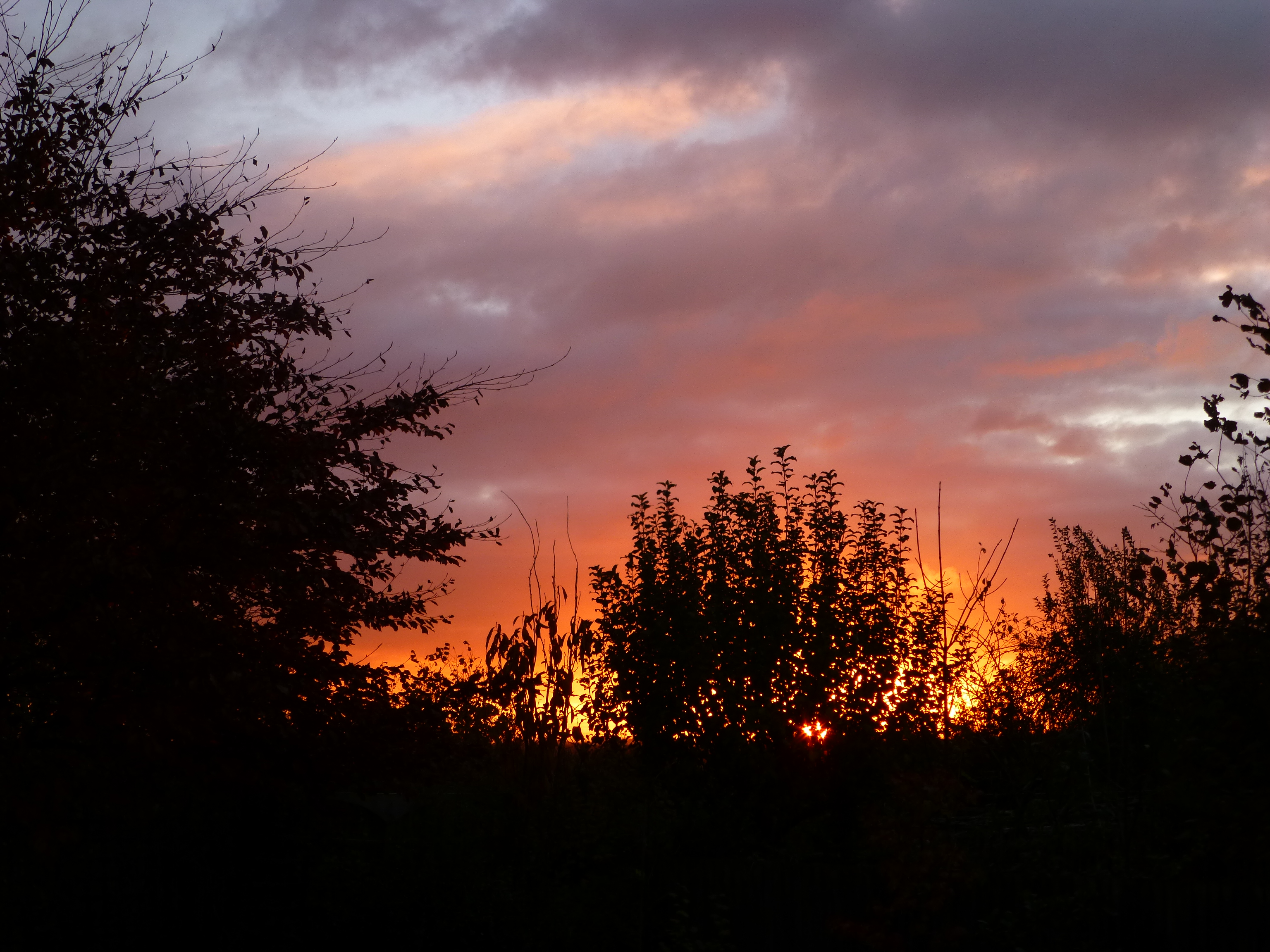 2017 Sunset, Sutton