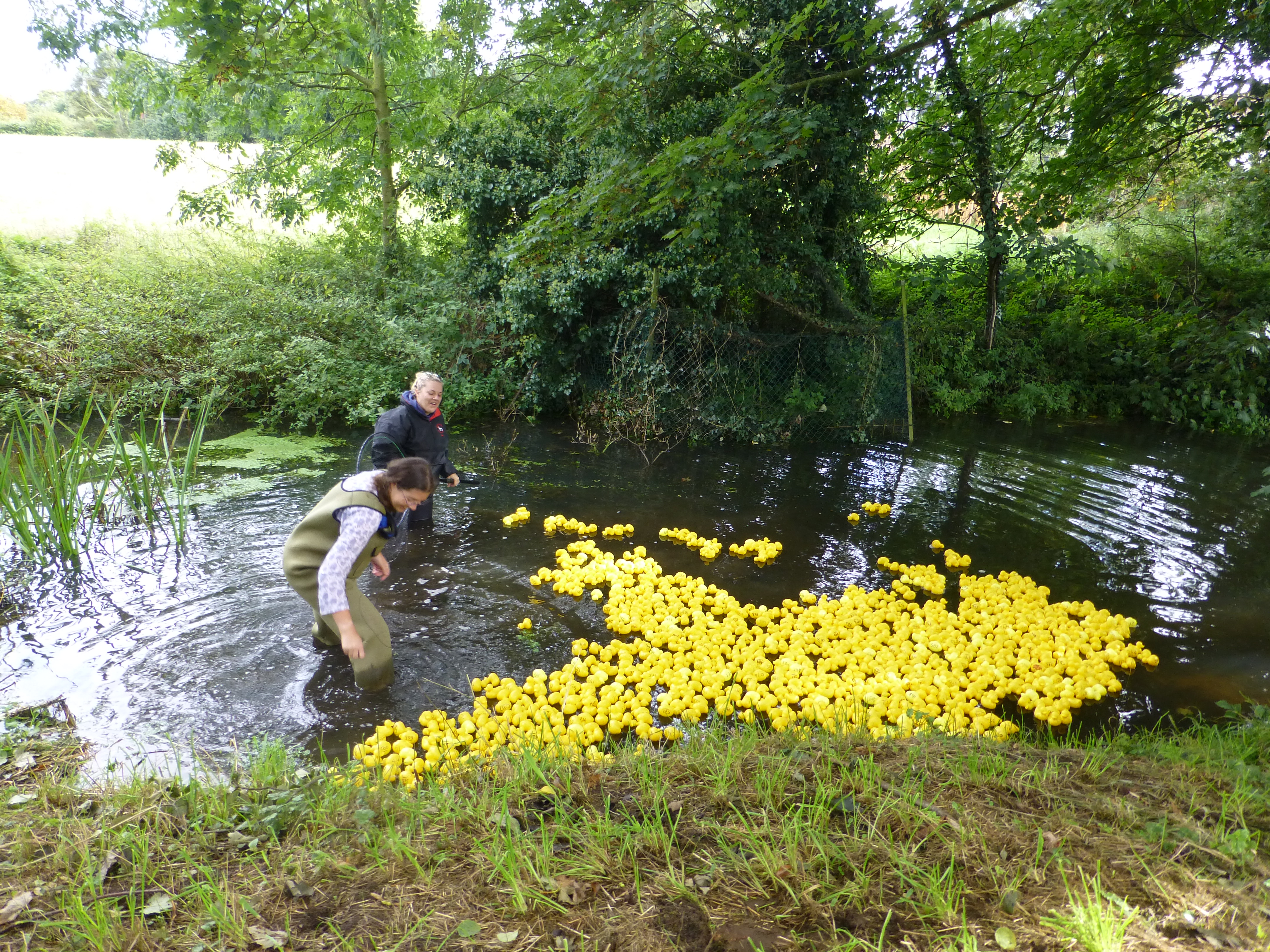 2017 Sutton duck race