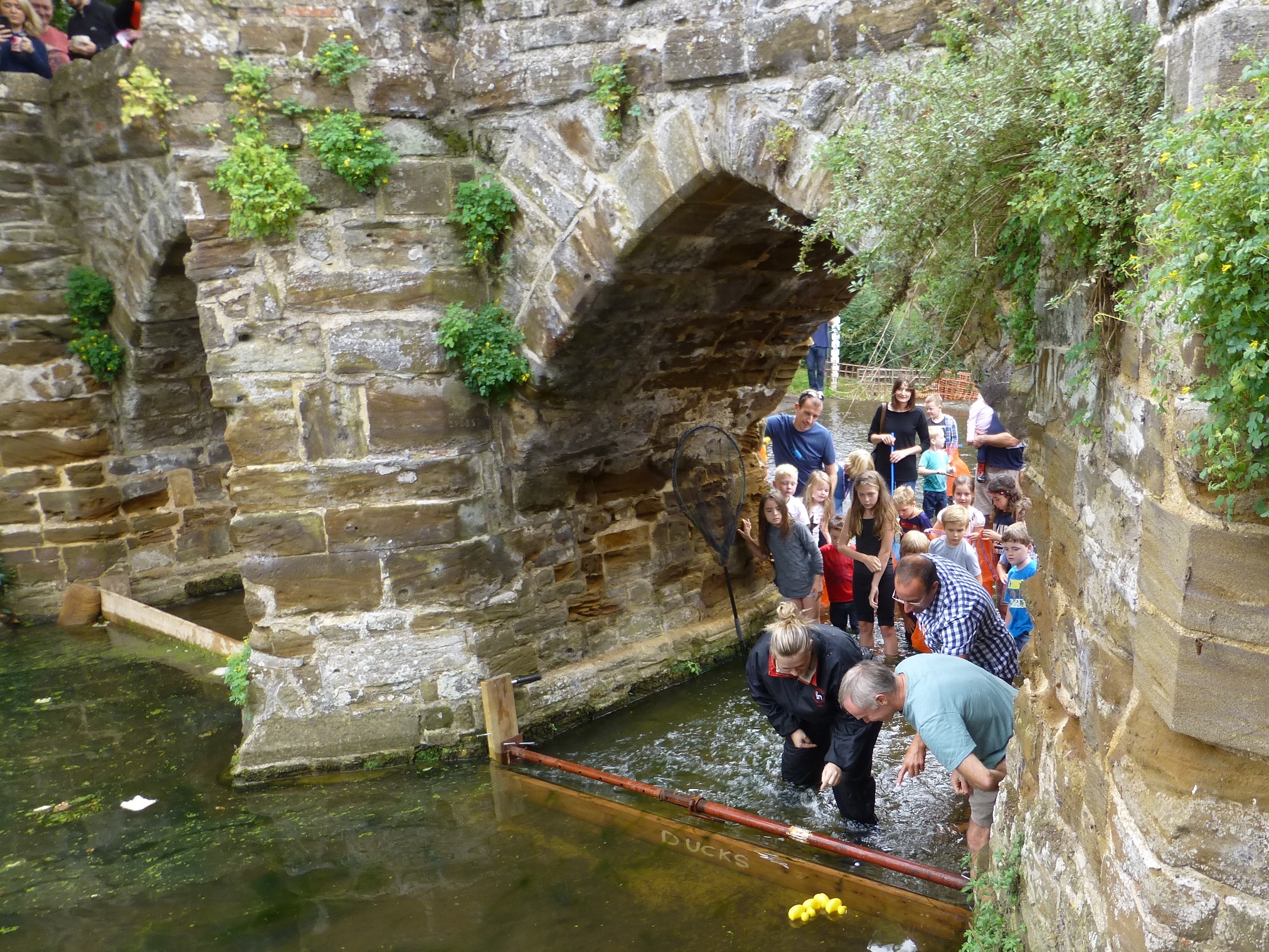 2016 Sutton duck race