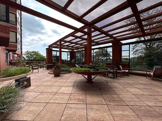 terrace joe.jpg