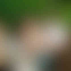 Zomerbar Riviera Gent