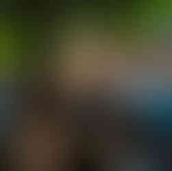 Open air apero terug in het Arsenaal