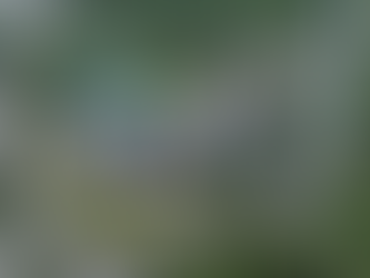 6 Billion Investment & Global Benchmarking: Arion Hospital International Medical’s Talent Strategy Sets a Precedent for Future Healthcare