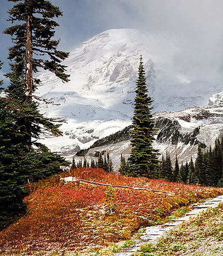 57-Rainier-Red--copy.jpg