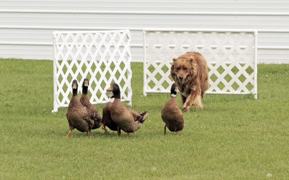 Rusty_0540_1_edited.jpg