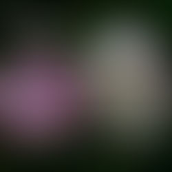 Anxiety and fear are cousins..