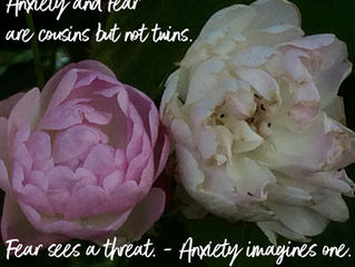 Anxiety and fear are cousins..
